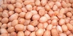 Ground Nut