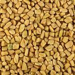 Fenugreek
