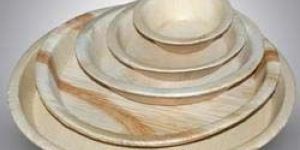 Areca Leaf Plates