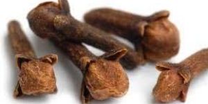 Cloves
