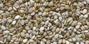 Sesame Seeds
