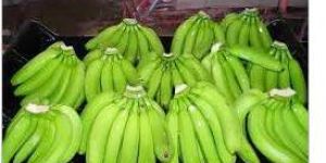 Fresh Banana