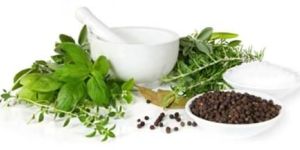 Organic Vermicompost