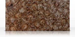 Round Petrified Wood Semi Precious Slab