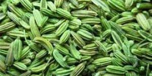 Fennel Seeds