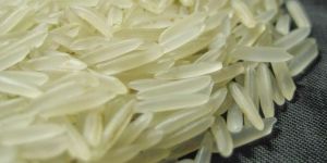 GOLDEN PUSA RICE - 1509