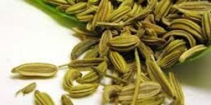 Green Fennel Seeds