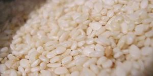 Hulled Sesame Seeds - 99.97%
