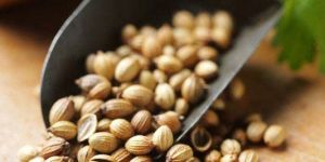 INDIAN coriander seeds- Eagle Grade