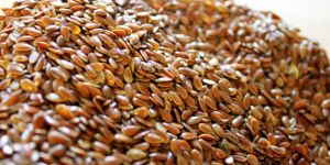 Indian Flax Seeds