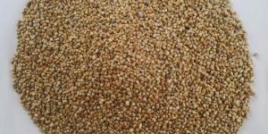 Millet