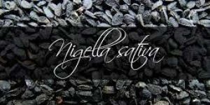 nigella sativa seeds - kalongi