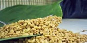 Seasonal Fenugreek Spice