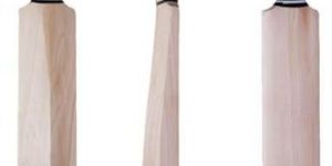 English Willow Cricket Bat