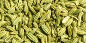 Fennel Seeds