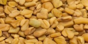 Fenugreek Seeds