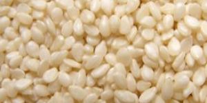Sesame Seeds