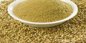 Coriander Powder