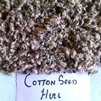 Cotton Seed Hulls
