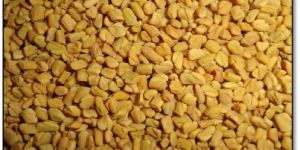 Fenugreek Seeds