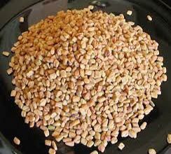 Methi (Fenugreek Seeds)
