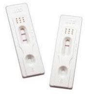 Luteinizing Hormone Test Kit