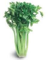 Celery