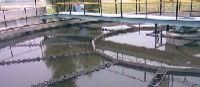 Raw Water Treatment Plant
