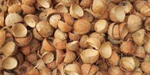 Coconut Shell