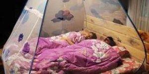 Foldable Mosquito Net