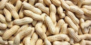 Shelled Groundnuts
