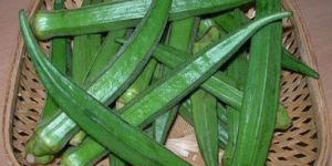 Fresh Okra