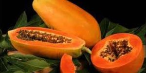 Fresh Papaya