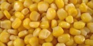 Frozen Sweet Corn
