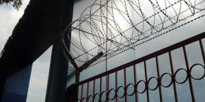 Razor Wire, Razor Wire Coils