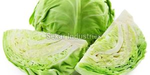 Fresh Cabbage