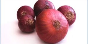 Red Onion