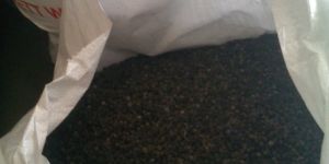 Black Pepper Supplier