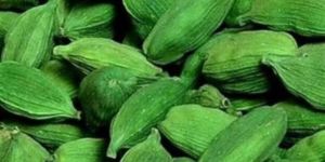 India Cardamom