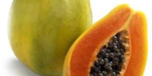 Fresh Papaya