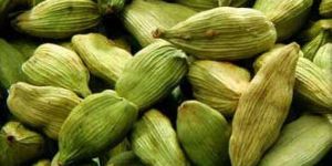 Green Cardamom