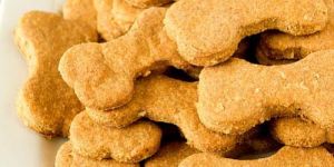 Dog Biscuits