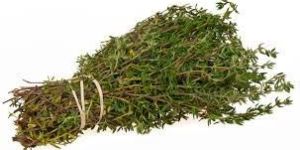 Thyme Leaves
