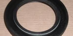 Oil Seal