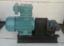 Gear Pumps