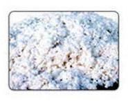 Uncarded Bleached Cotton