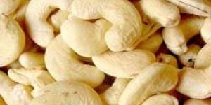 Cashew Nuts