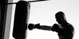 Taekwondo Punching Bags