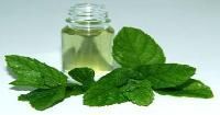Mentha Piperita Oil