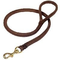Dog Leads